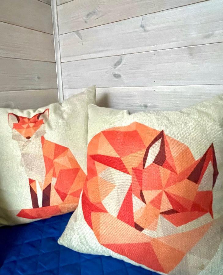 دروسكينينكاي Guest House Mr Fox المظهر الخارجي الصورة