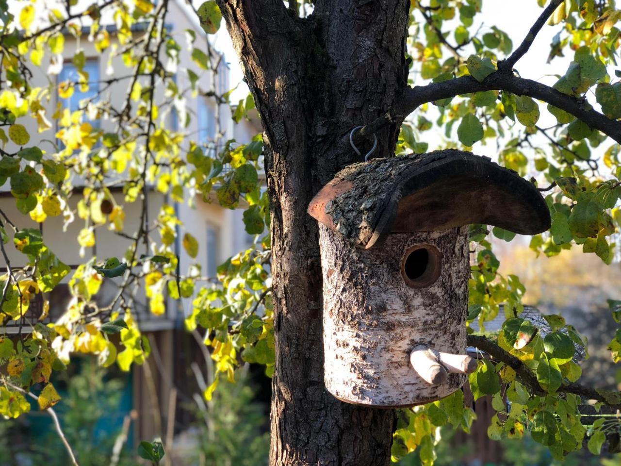 دروسكينينكاي Guest House Mr Fox المظهر الخارجي الصورة