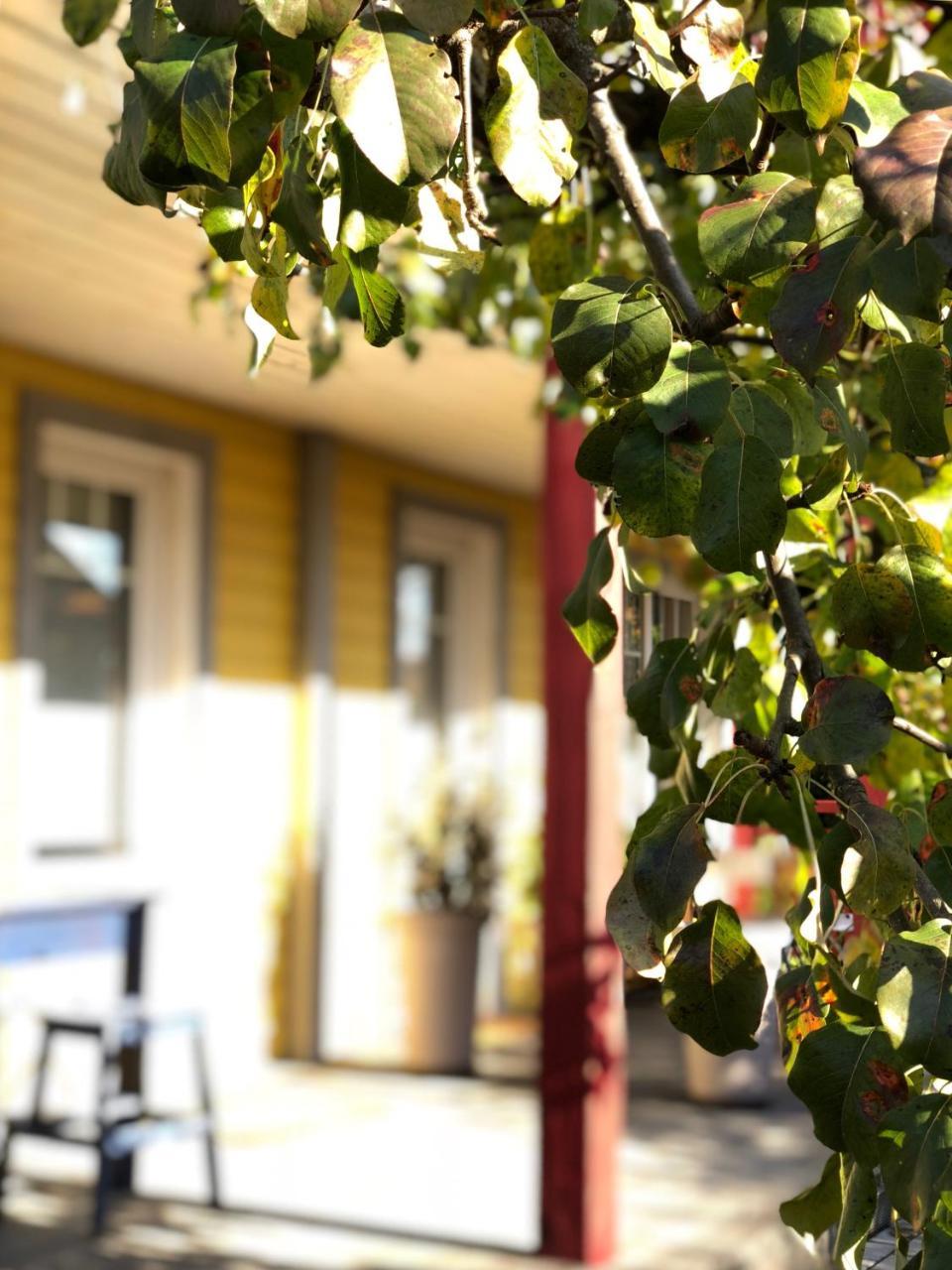 دروسكينينكاي Guest House Mr Fox المظهر الخارجي الصورة