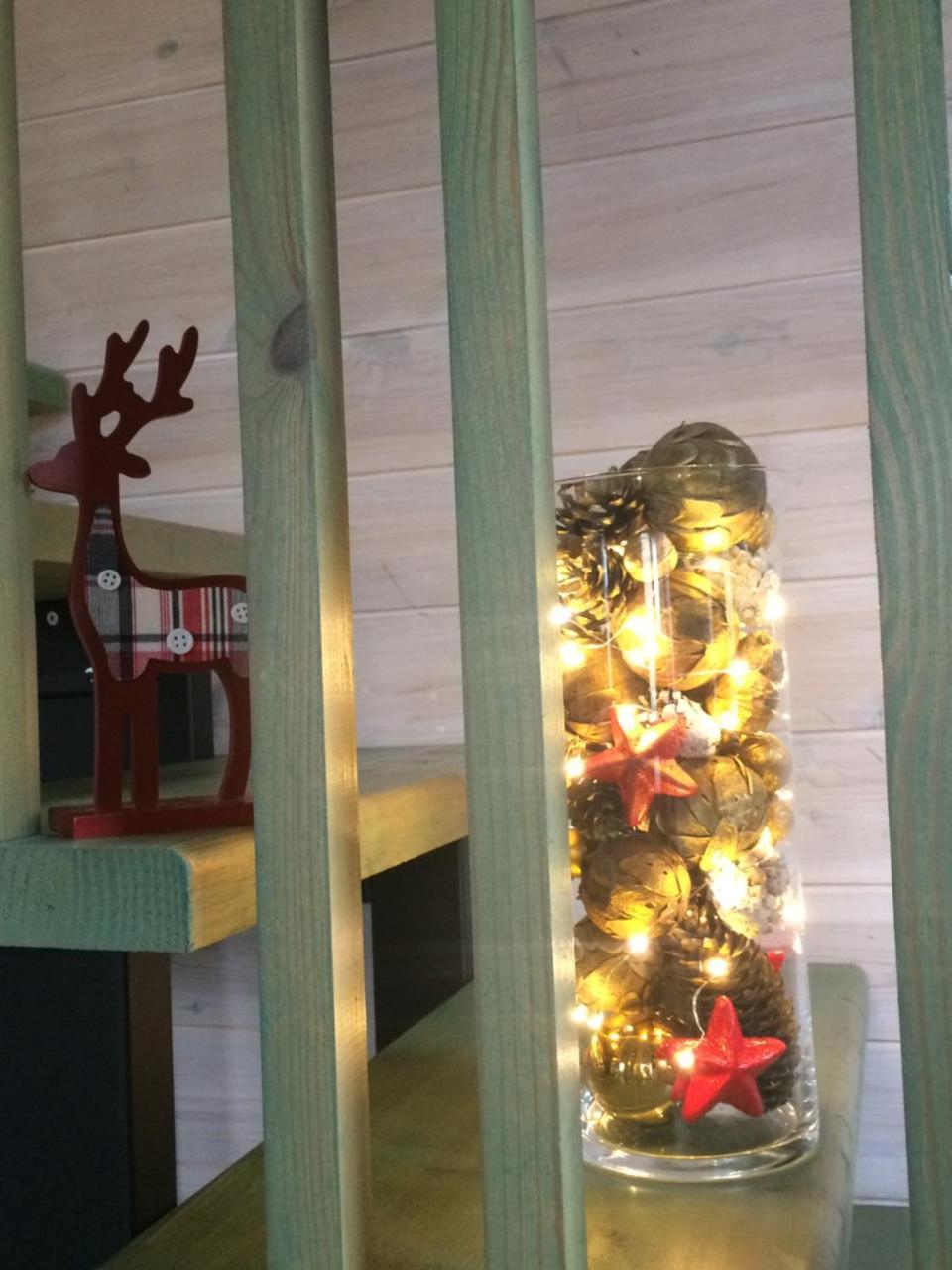 دروسكينينكاي Guest House Mr Fox المظهر الخارجي الصورة